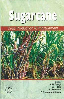 Book cover for Sugarcane Crop Production Improment