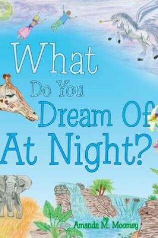 Cover of What Do You Dream of at Night?