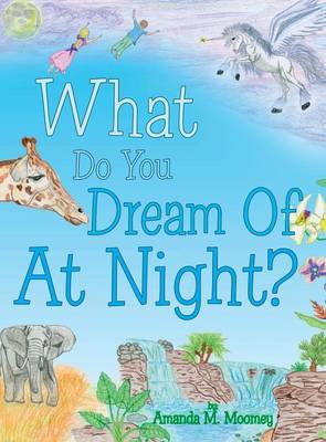 Book cover for What Do You Dream of at Night?