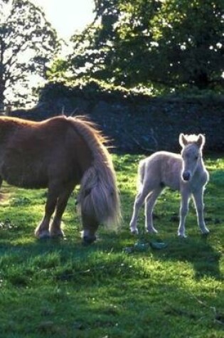 Cover of 2020 Daily Planner Horse Photo Equine Draft Mare Foal 388 Pages