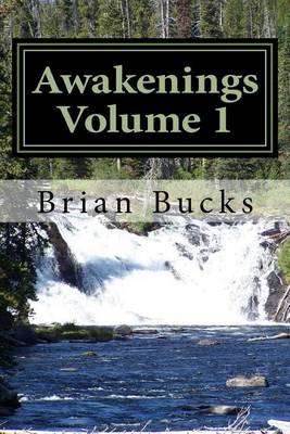 Cover of Awakenings