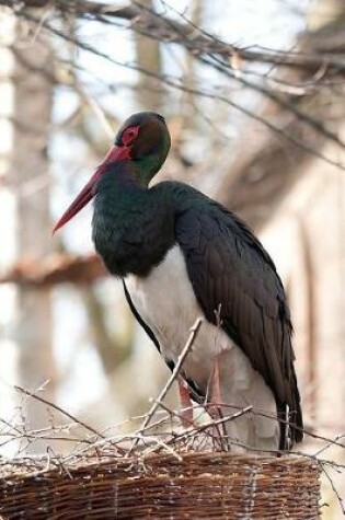 Cover of Black Stork Bird Journal