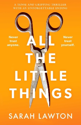 Book cover for All The Little Things