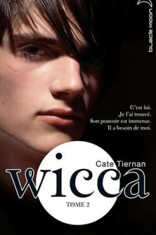 Cover of Wicca 2
