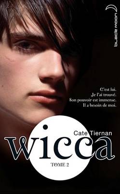 Book cover for Wicca 2