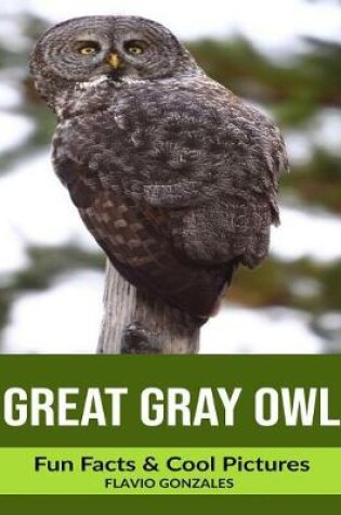 Cover of Great Gray Owl