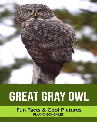 Book cover for Great Gray Owl