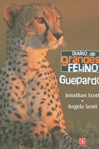 Cover of Guepardos