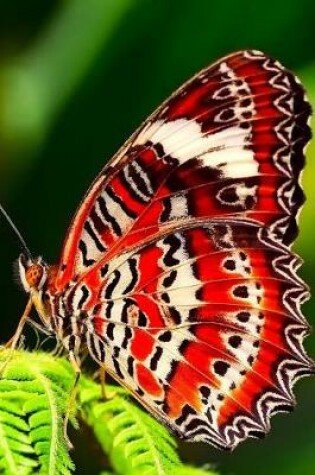 Cover of Gorgeous Butterfly Up Close Summertime Journal