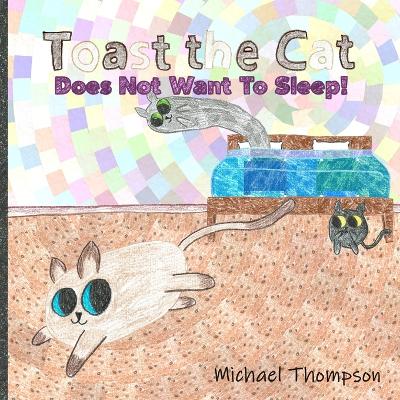 Book cover for Toast The Cat Does Not Want To Sleep