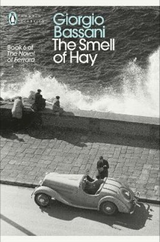 Cover of The Smell of Hay