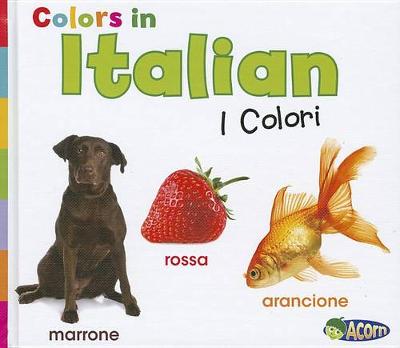 Book cover for Colors in Italian