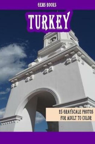 Cover of Turkey