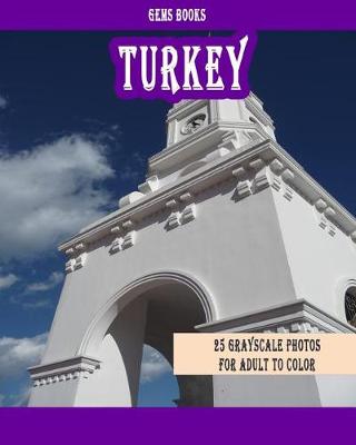 Book cover for Turkey