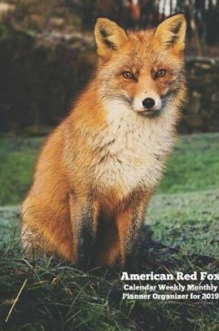 Cover of American Red Fox Calendar Weekly Monthly Planner Organizer for 2019