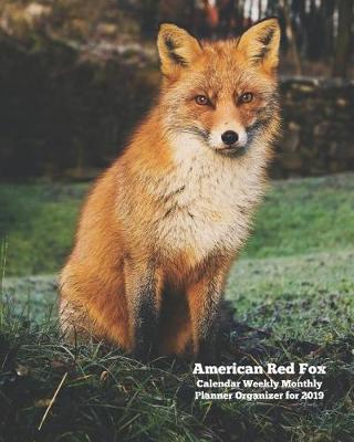 Book cover for American Red Fox Calendar Weekly Monthly Planner Organizer for 2019