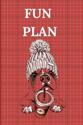 Book cover for Fun Plan