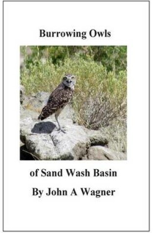 Cover of Burrowing Owls of Sand Wash Basin