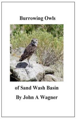 Book cover for Burrowing Owls of Sand Wash Basin