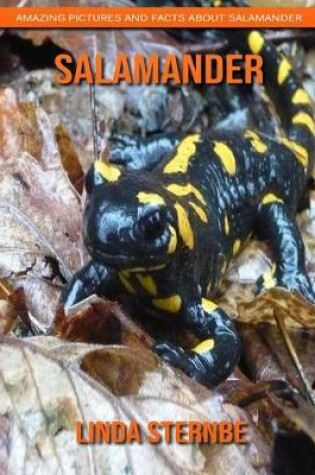 Cover of Salamander