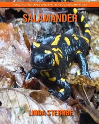 Book cover for Salamander