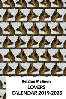 Book cover for Belgian Malinois Lovers Calendar 2019-2020