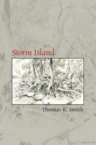 Cover of Storm Island