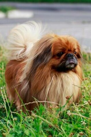 Cover of Pekingese