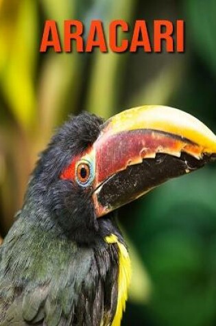 Cover of Aracari