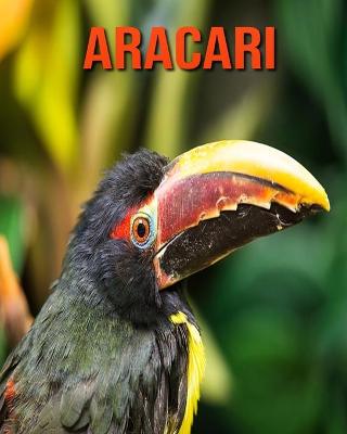 Book cover for Aracari
