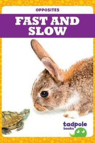 Cover of Fast and Slow