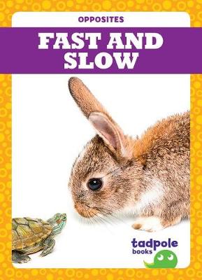 Cover of Fast and Slow