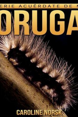 Cover of Oruga