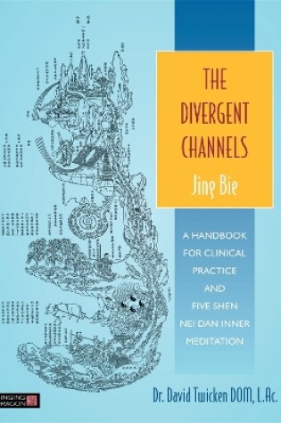 Cover of The Divergent Channels - Jing Bie