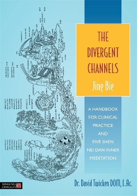 Book cover for The Divergent Channels - Jing Bie