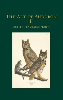 Book cover for The Art of Audubon II