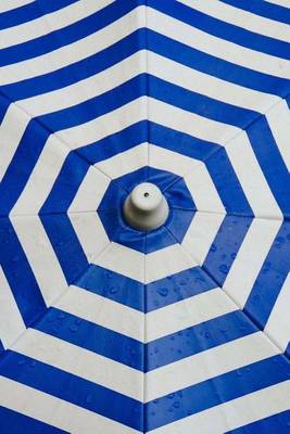 Book cover for A Blue and White Parasol Umbrella