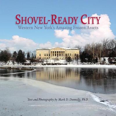 Book cover for Shovel-Ready City