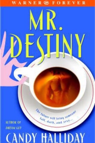 Cover of Mr Destiny