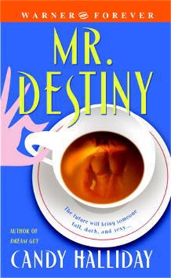 Book cover for Mr Destiny