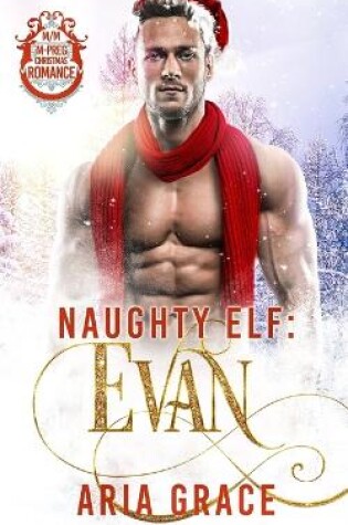 Cover of Naughty Elf