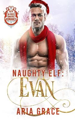 Book cover for Naughty Elf