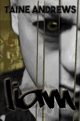 Book cover for Liam