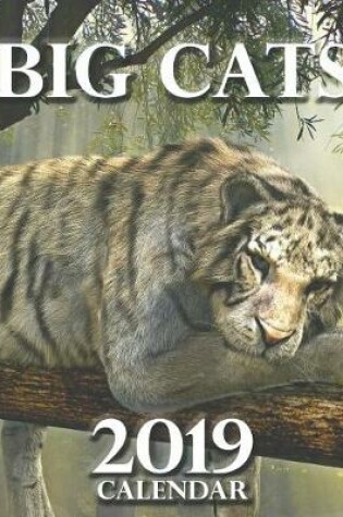 Cover of Big Cats 2019 Calendar
