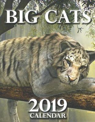 Book cover for Big Cats 2019 Calendar