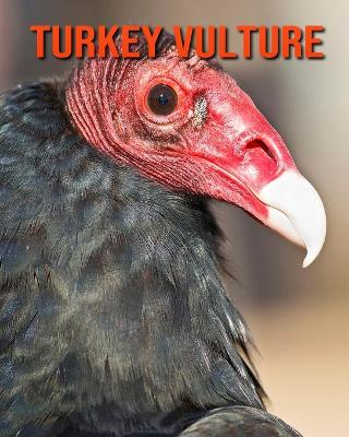 Book cover for Turkey Vulture