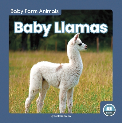 Book cover for Baby Llamas