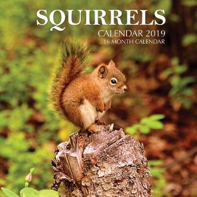 Book cover for Squirrels Calendar 2019