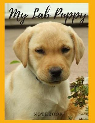 Book cover for My Lab Puppy