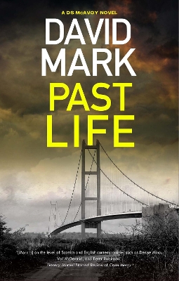 Book cover for Past Life